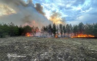 Лісові пожежі вирують у чотирьох областях – ДСНС
